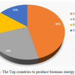 Figure 8: The Top countries to produce biomass energy in 2016.