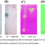 Figure 6: Thin-layer chromatography profile of treatment sample 6A* and gallic acid, performed using chloroform: methanol: H2O as the mobile phase.