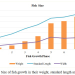 Figure 2: Size of fish growth in their weight, standard length and width.