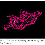 Figure 6: Molecular Docking structure of BSA and Sulphur Dioxide