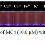 Figure 10: Fluorescent changes of MC4 (10.0 µM) with addition of various metal ions (16.7 µM) under UV light.