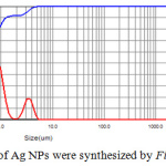 Figure 6: Distribution of Ag NPs were synthesized by Ficus cordata leaf extract.