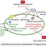 Figure 1: Antibacterial action mechanism of doped nanoparticles.