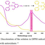Figure 2: Discoloration of the solution in DPPH radical reaction with antioxidants.12