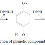 Figure 4: The reaction of phenolic compounds with DPPH.13