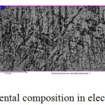 Figure 1: Zinc coating and its elemental composition in electrolyte galvanizing without SAS.