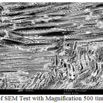 Figure 3.1: Results of SEM Test with Magnification 500 times.