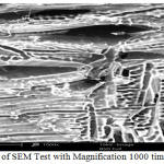 Figure 3.2: Results of SEM Test with Magnification 1000 times.