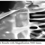 Figure 3.3: SEM Test Results with Magnification 5000 times.