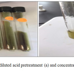 Figure 1: Benedict test for diluted acid pretreatment (a) and concentrated acid pretreatment (b) sample.