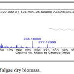 Figure 2b: The production of algae dry biomass.