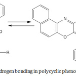 Scheme 3: Intramolecular hydrogen bonding in polycyclic phenoxazine derivatives 5a-i.