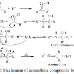 Figure 2: Mechanism of azomethine compounds formation.