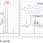 Figure 4: 1H-NMR Spectra of R6 and R9.