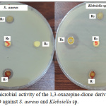 Figure 8: Antimicrobial activity of the 1,3-oxazepine-dione derivatives R5-R9 in DMSO against S. aureus and Klebsiella sp.