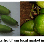 Figure 1: Wuluh starfruit from local market in Bogor, Indonesia