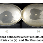 Figure 10: The standard antibacterial test results of amoxicillin against Escherichia coli (a)  and Bacillus bacteria (b)