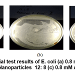 Figure 11: Antibacterial test results of E. coli (a) 0.8 mM Au Nanoparticles 10:10 ; (b) 0.8 mM Au Nanoparticles  12: 8 (c) 0.8 mM Au nanoparticles 14: 6