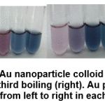 Figure 2: Appearance of Au nanoparticle colloid using extract from the second boiling(left) and third boiling (right)