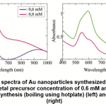 Figure 4: SPR spectra of Au nanoparticles synthesized by bilimbi fruit extract at metal precursor concentration of 0.6 mM and 0.8 mM, by conventional synthesis (boiling using hotplate) (left) and by microwave (right)