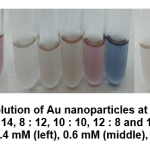 Figure 5: Colloidal solution of Au nanoparticles at ratio volume of metal precursor Extract of 6 : 14, 8 : 12, 10 : 10, 12 : 8 and 14 : 6 at metal precursor concentration of 0.4 mM (left), 0.6 mM (middle), and 0.8 mM (right)
