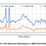 Figure 10: COD Removal Performance in SBR Pilot Plant,Kosad