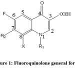 Figure 1: Fluoroquinolone general formula.