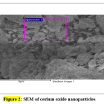 Figure 2: SEM of cerium oxide nanoparticles