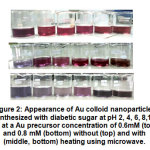 Figure 2:  Appearance of Au colloid nanoparticles synthesized with diabetic sugar 