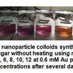 Figure 5: Au nanoparticle colloids synthesized with diabetic sugar without heating using microwave at pH 2, 4, 6, 8, 10, 12 at 0.6 mM Au precursor concentrations after several days.