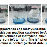 Figure 7:  The appearance of a methylene blue solution after undergoing an oxidation reaction catalyzed by Au nanoparticles for 1 hour at various volumes of methylene blue