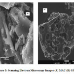 Figure 3: Scanning Electron Microscopy Images (A) MAC (B) GMAC