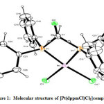 Figure 1:  Molecular structure of [Pt(dppmCl)Cl2]complex