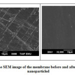 Figure 1:  The SEM image of the membrane before and after coating with nanoparticled