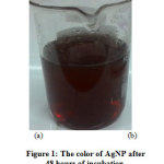 Figure 1: The color of Agnp after 48 hours of incubation.