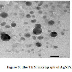 Figure 8: The TEM micrograph of AgNPs.