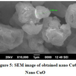 Figure 5: SEM image of obtained nano CuO Nano CuO