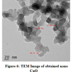 Figure 6: TEM Image of obtained nano CuO