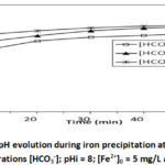 Figure 2b: pH evolution during iron precipitation at different concentrations