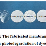 Figure 1: The fabricated membranes in this  study for photodegradation of dyes.