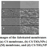 Figure 2: SEM images of the fabricated membranes using different  magniﬁcations: (a) CS membrane, (b) CS/TiO2NPs (L) membrane,  (c) CS/TiO2NPs (M) membrane, and (d) CS/TiO2NPs (H) membrane.