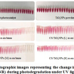 Figure 7: Photographic images representing the change in colour of the               eutral dye (NR) during photodegradation under UV light irradiation.