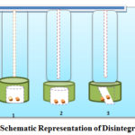 Figure 5: Schematic Representation of Disintegration Tester
