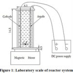 Figure 1: Laboratory scale of reactor system