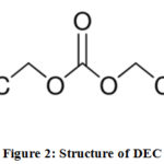 Figure 2: Structure of DEC
