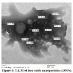 Figure 6: T.E.M of iron oxide nanoparticles (IONPs). 