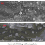 Figure 3: (a-b) FESEM image at different magnification