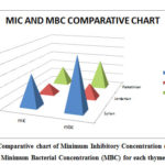 Figure 3: Comparative chart of Minimum Inhibitory Concentration (MIC) with  Minimum Bacterial Concentration (MBC) for each thyme