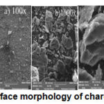 Figure 4: Surface morphology of charcoal by SEM