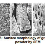 Figure 6: Surface morphology of graphene powder by SEM